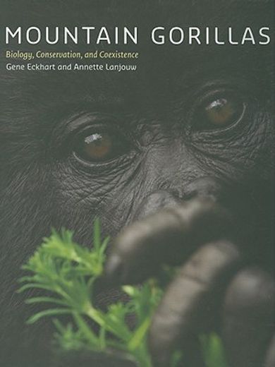 Mountain Gorillas: Biology, Conservation, and Coexistence (en Inglés)