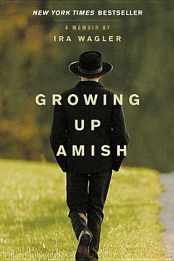 growing up amish,a memoir