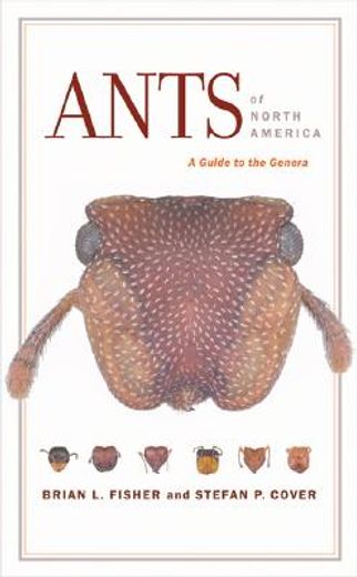ants of north america,a guide to the genera