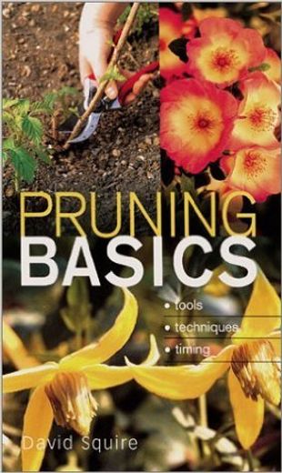 Pruning Basics (en Inglés)