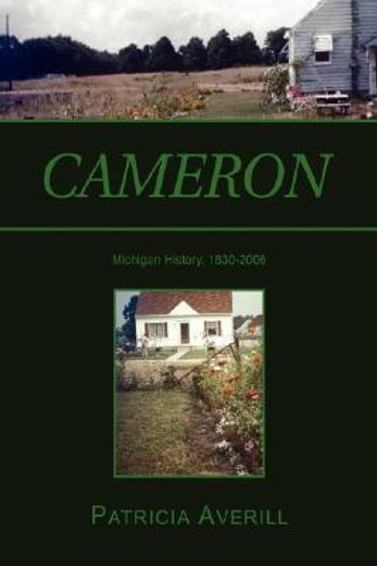 cameron,family, technology and religion in a rust belt town as seen by averills, nasons, mccormicks and othe