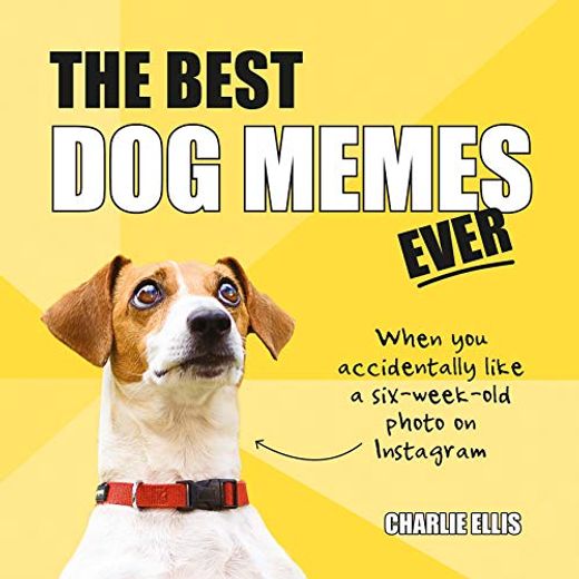 The Best dog Memes Ever: The Funniest Relatable Memes as Told by Dogs (en Inglés)