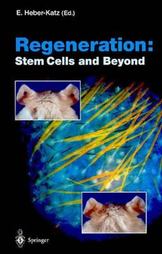 regeneration,stem cells and beyond