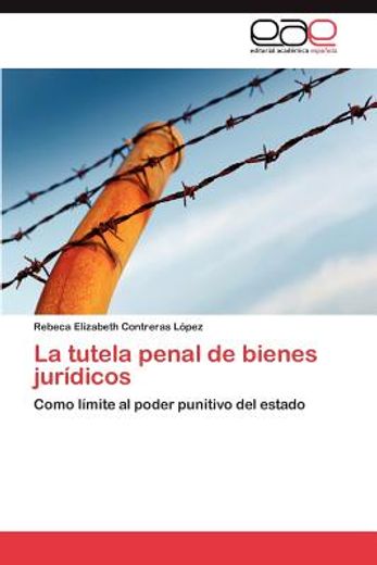 la tutela penal de bienes jur dicos (in Spanish)