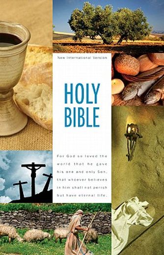 holy bible,new international version, textbook edition (en Inglés)