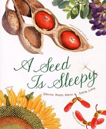 a seed is sleepy (in English)