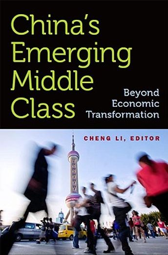 china´s emerging middle class,beyond economic transformation