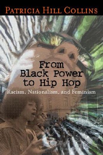 from black power to hip hop,racism, nationalism, and feminism