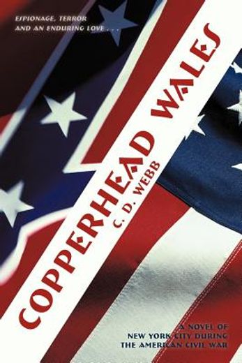 copperhead wales,a novel of new york city during the american civil war (en Inglés)