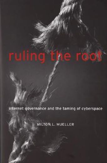 ruling the root,internet governance and the taming of cyberspace