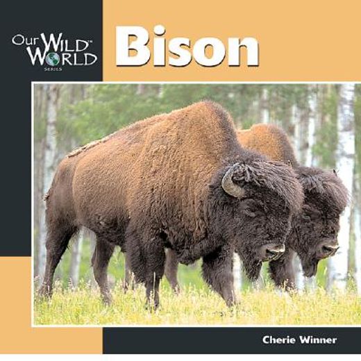 bison (en Inglés)