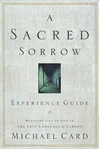 a sacred sorrow experience guide,reaching out to god in the lost language of lament (in English)