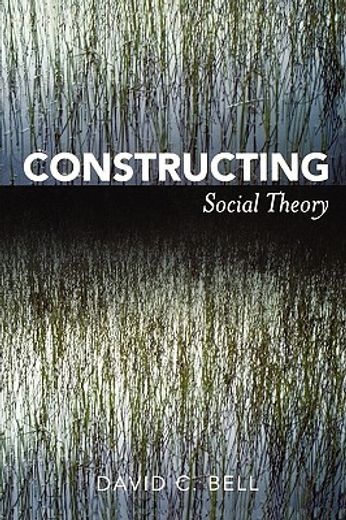 constructing social theory