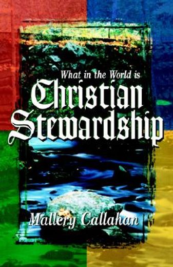 what in the world is christian stewardship