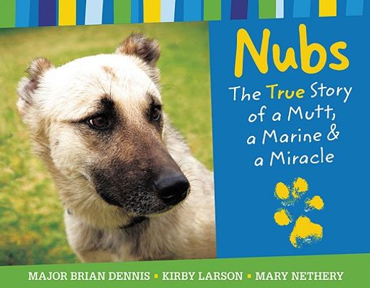 nubs,the true story of a mutt, a marine & a miracle