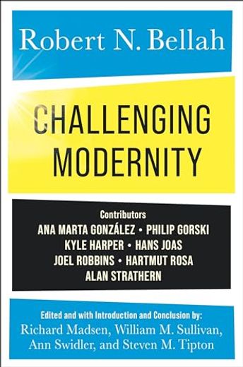 Challenging Modernity (en Inglés)