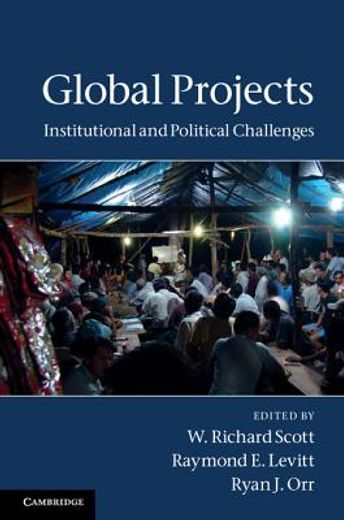 global projects,institutional and political challenges