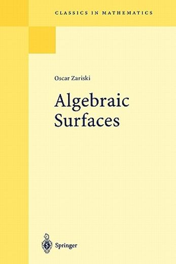 algebraic surfaces