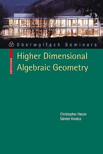 higher dimensional algebraic geometry