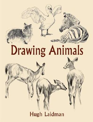 drawing animals (en Inglés)