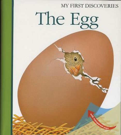 egg