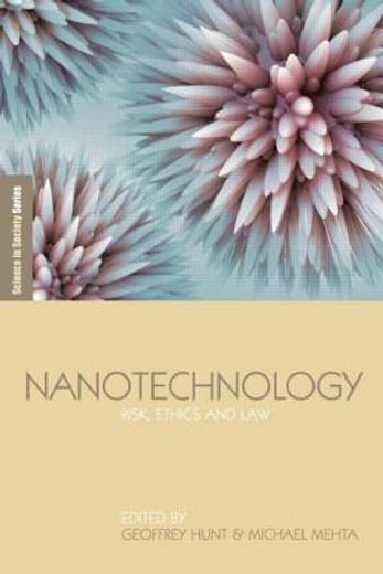 nanotechnology,risk, ethics and law