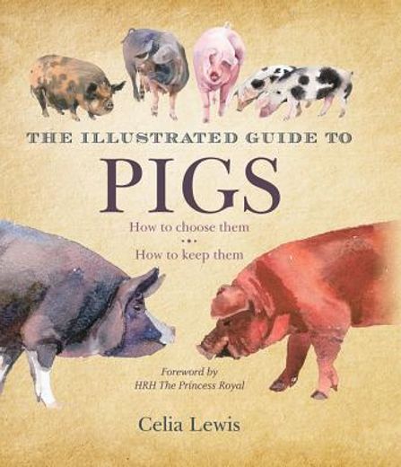 the illustrated guide to pigs,how to choose them, how to keep them