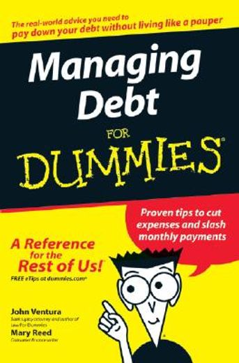 managing debt for dummies (en Inglés)