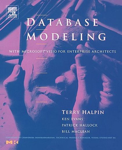 database modeling with microsoft visio for enterprise architects