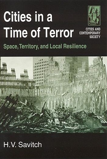 cities in a time of terror,space, territory, and local resilience