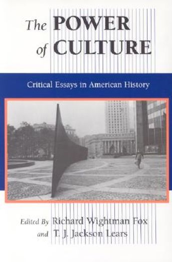 the power of culture,critical essays in american history