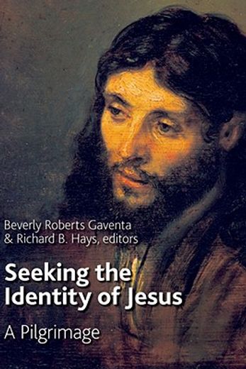 seeking the identity of jesus,a pilgrimage