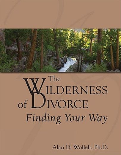 The Wilderness of Divorce: Finding Your Way (en Inglés)