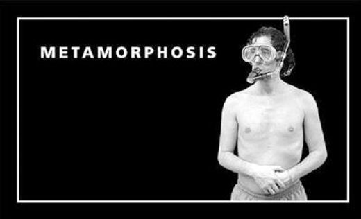 Metamorphosis: Flip Book (in English)