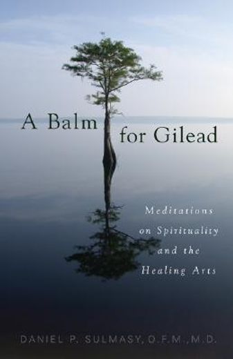 a balm for gilead,meditations on spirituality and the healing arts