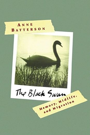 the black swan,memory, midlife, and migration