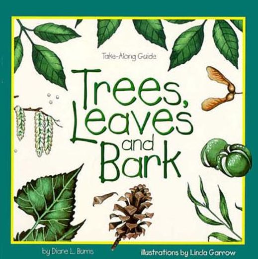 trees, leaves, and bark