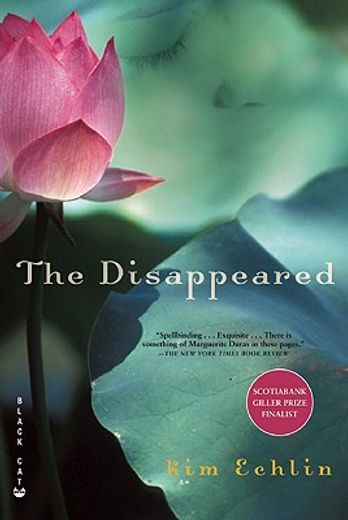 the disappeared (en Inglés)