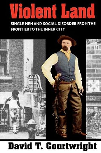 violent land,single men and social disorder from the frontier to the inner city