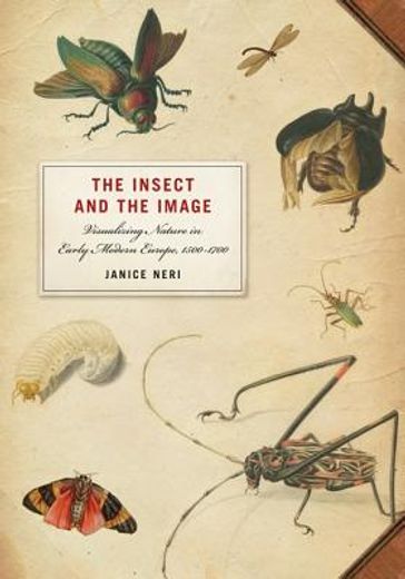 the insect and the image,visualizing nature in early modern europe, 1500-1700