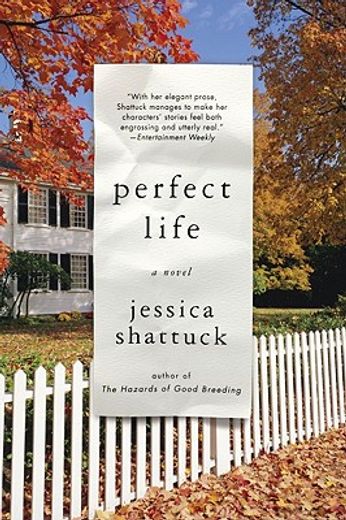 perfect life,a novel (in English)