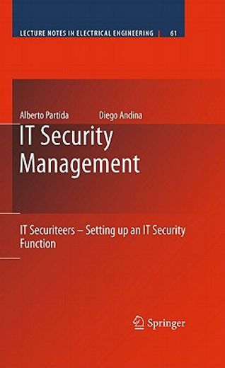 setting up an it security function