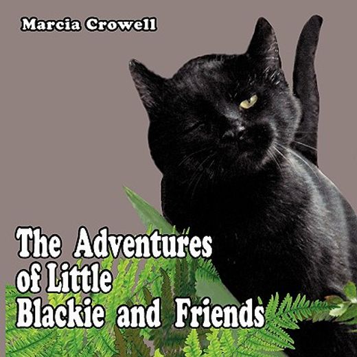 the adventures of little blackie and friends