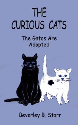 curious cats