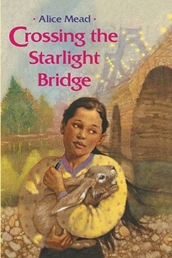 crossing the starlight bridge (en Inglés)