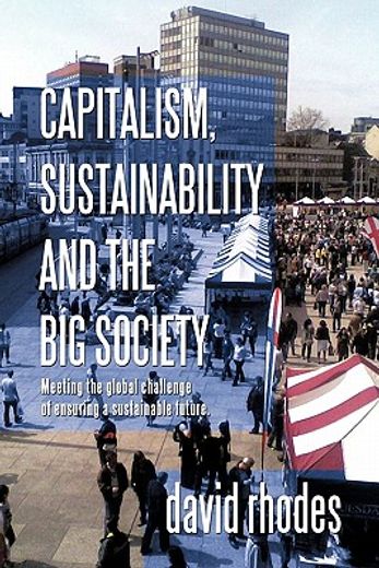 capitalism, sustainability and the big society,meeting the global challenge of ensuring a sustainable future
