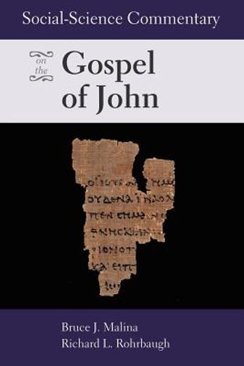 social-science commentary on the gospel on john