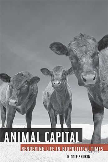 animal capital,rendering life in biopolitical times