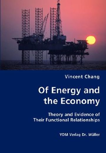 of energy and the economy - theory and evidence of their functional relationships