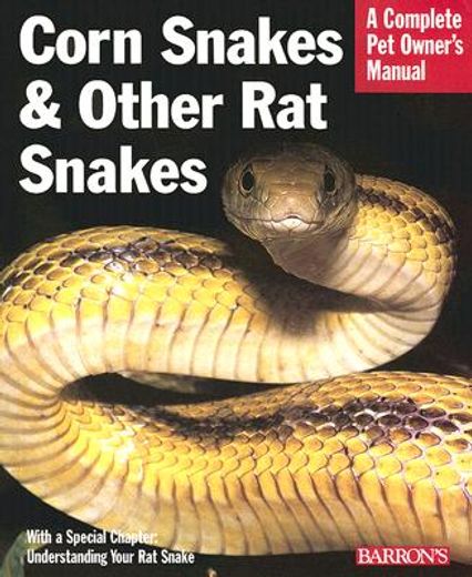 corn snakes and other rat snakes
